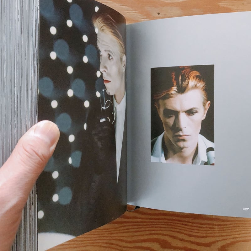 David Bowie The Man Who Fell to Earth | BOOKNERD