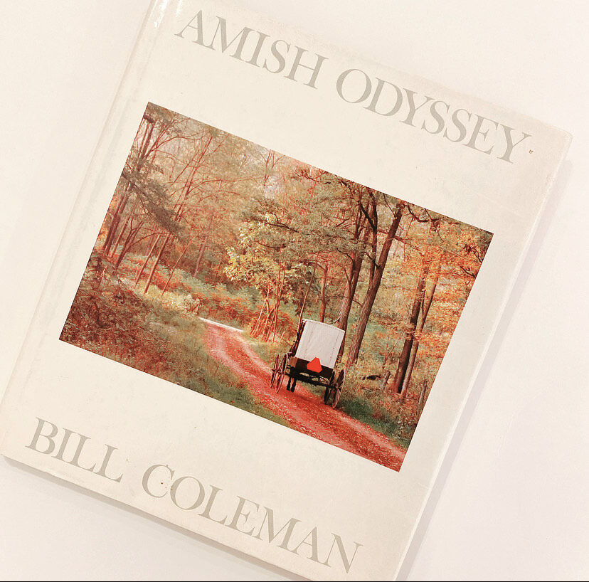 AMISH ODYSSEY | BOOKNERD