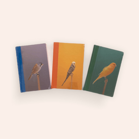 An Incomplete Dictionary of Show Birds