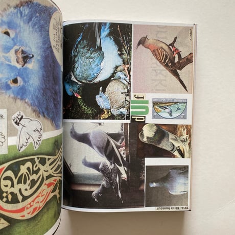 Lou Martens  Animal Books For
