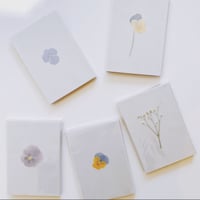DAN TOMIMATSU〈FLOWer〉 ／アソート