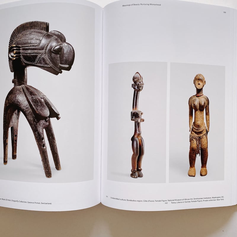 THE LANGUAGE OF BEAUTY IN AFRICAN ART | BOOKNERD