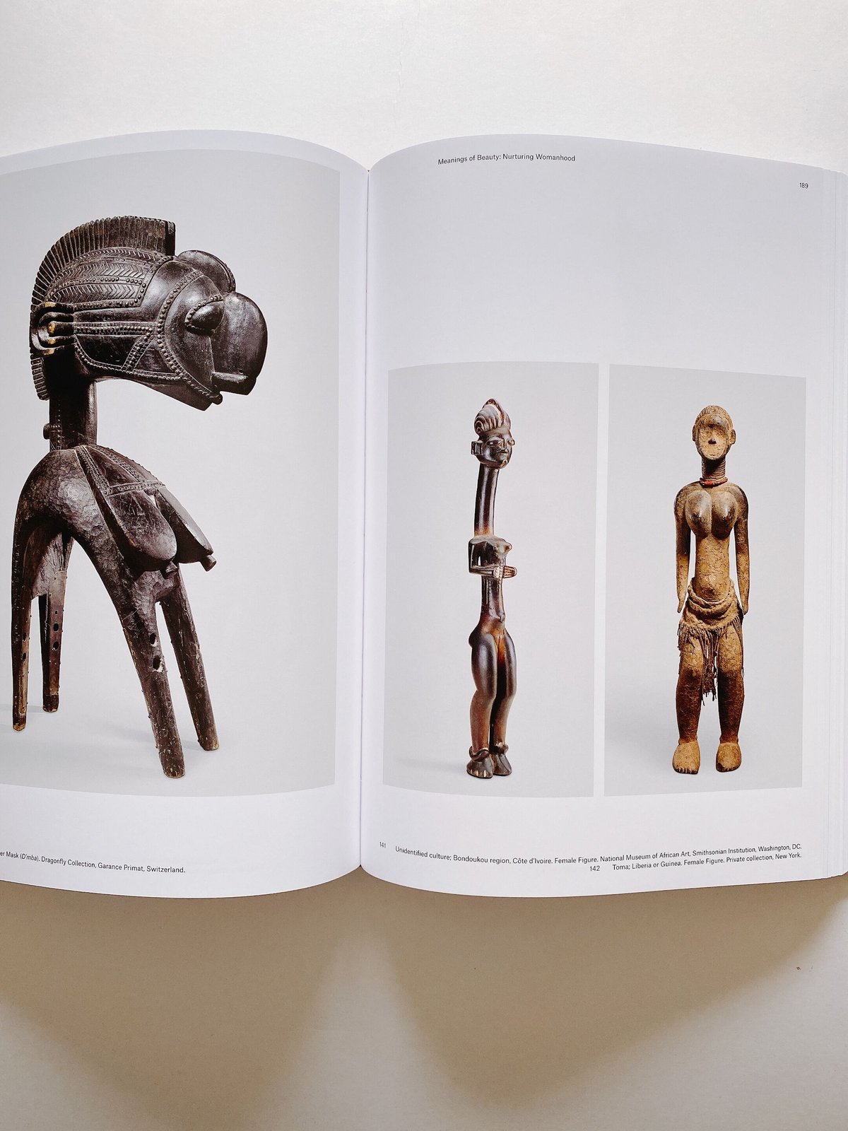 アート・デザイン・音楽 The Language of Beauty in African Art THE LANGUAGE OF BEAUTY IN AFRICAN ART | BOOKNERD