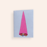 The Magic Hat