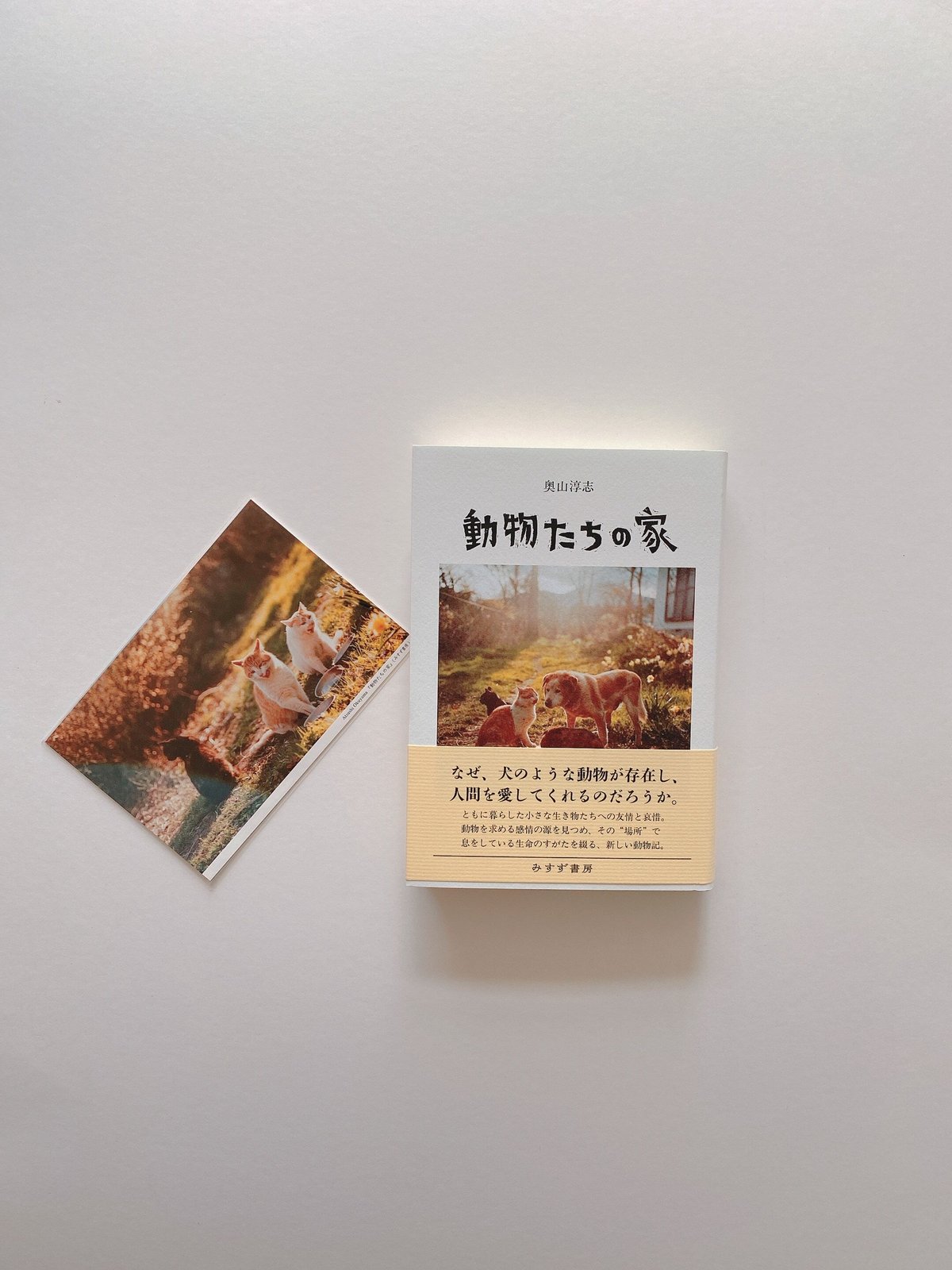サイン本・ポストカード付き〉動物たちの家 | BOOKNERD
