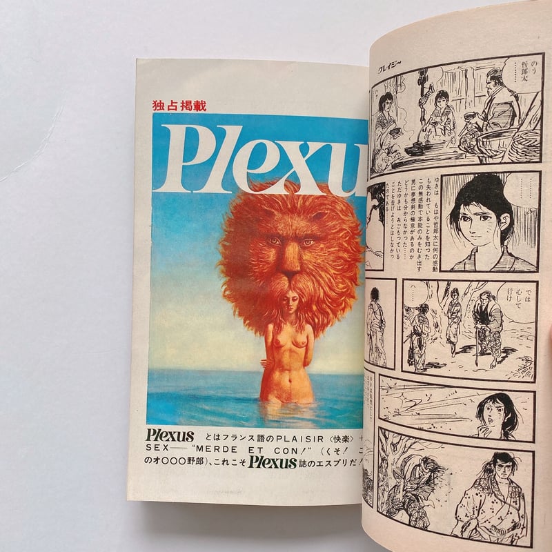 プレイボーイCOMICS クレイジー NO.1 | BOOKNERD