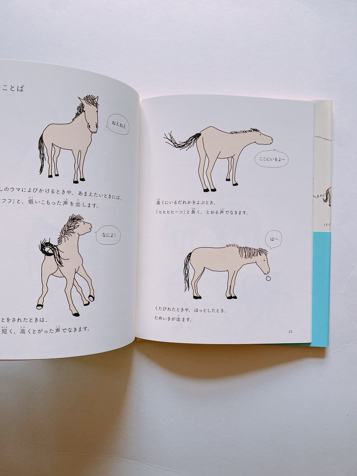 馬のトレーナーのひみつ