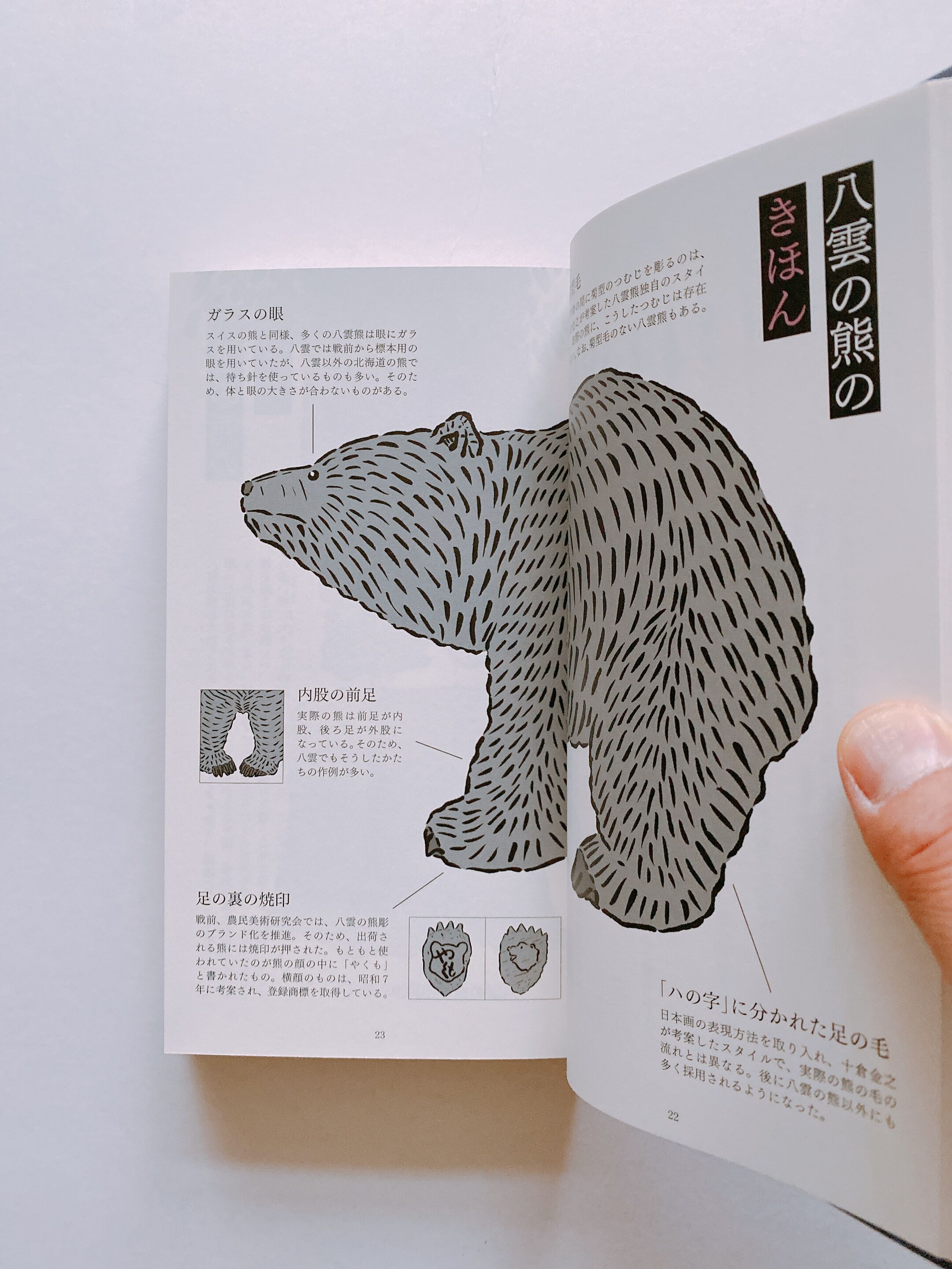 熊彫図鑑 KUMA-BORI ZUKAN 北海道 八雲 original