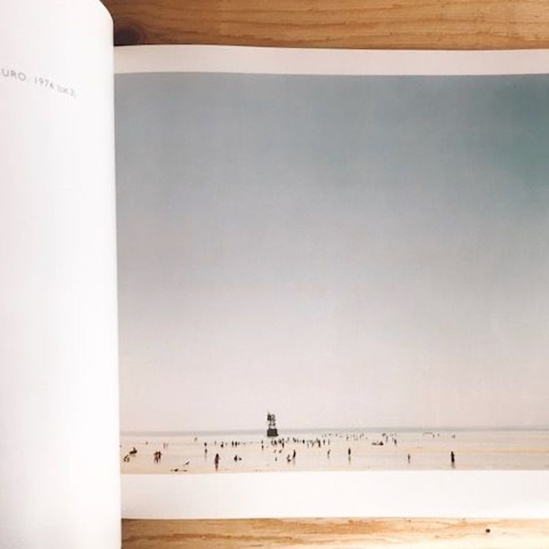 JOEL MEYEROWITZ CAPE LIGHT | BOOKNERD