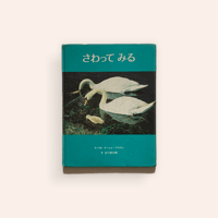 60年代の過ぎた朝 | BOOKNERD