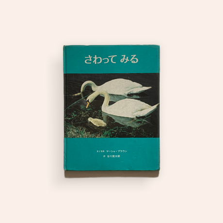 さわってみる