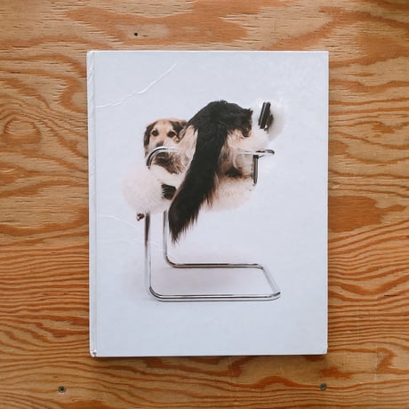 Maarten Wetsema   Hond Dog