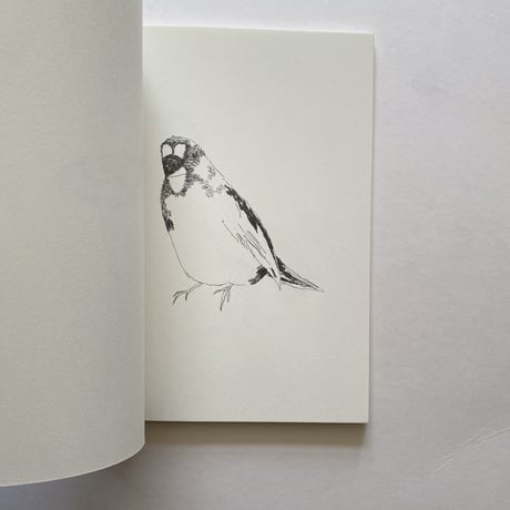 日本の鳥