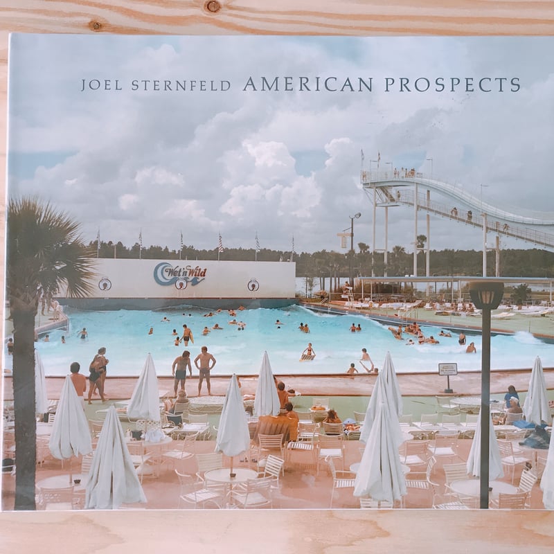 JOEL STANFELD AMERICAN PROSPECTS | BOOKNERD