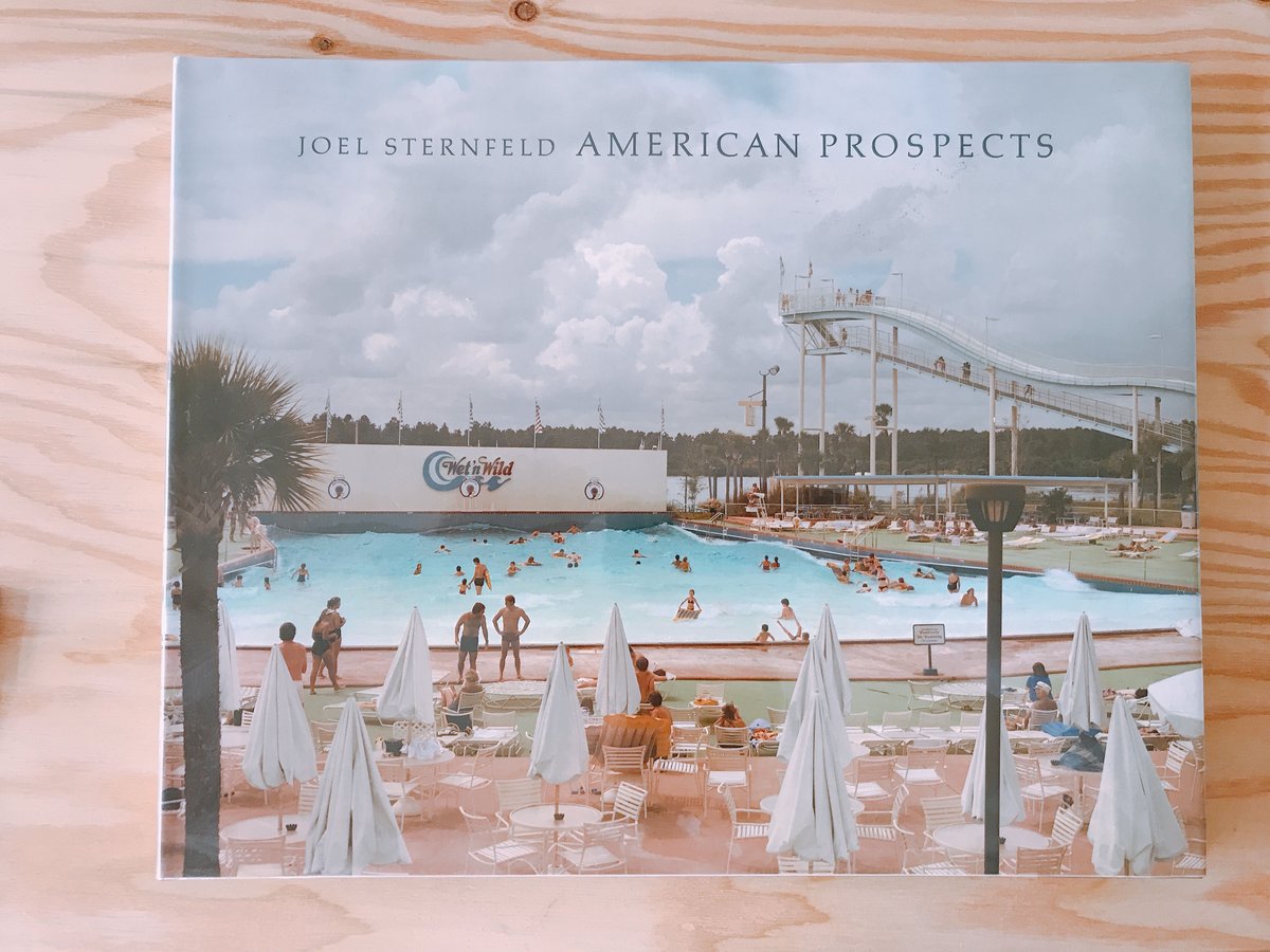 JOEL STANFELD AMERICAN PROSPECTS | BOOKNERD