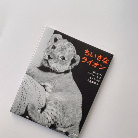 ちいさなライオン