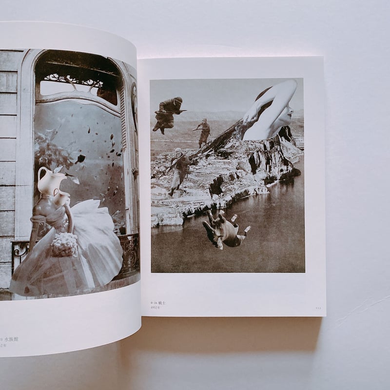 岡上淑子・藤野一友の世界 | BOOKNERD