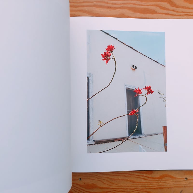 【洋書】WILLIAM EGGLESTON Amazon.com: William Eggleston The Democratic Forest Selected