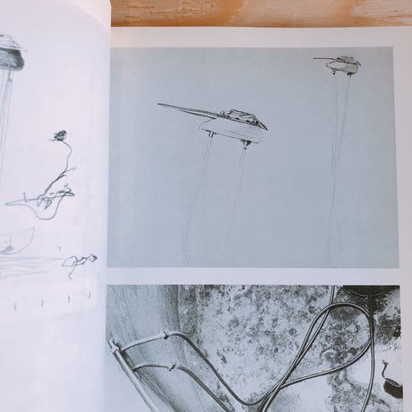 JOSEPH BEUYS    CAROLINE TISDALL