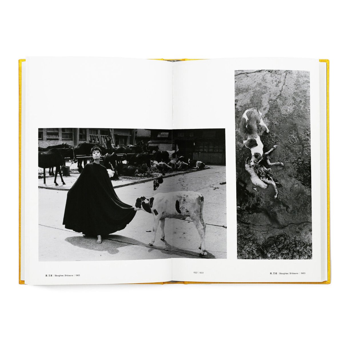 深瀬昌久 1961-1991レトロスペクティブ | BOOKNERD