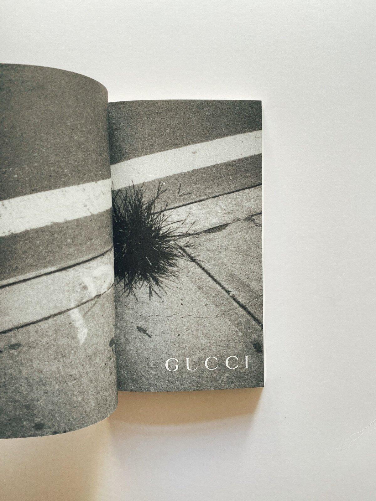 SOCIAL DOCUMENTARIES AMID THIS PIST | BOOKNERD