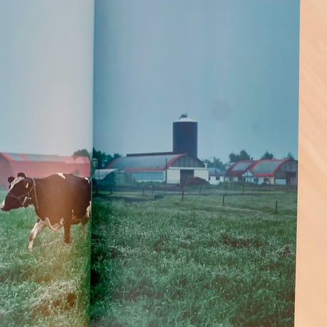 The Dairy Farm 　〜a day〜