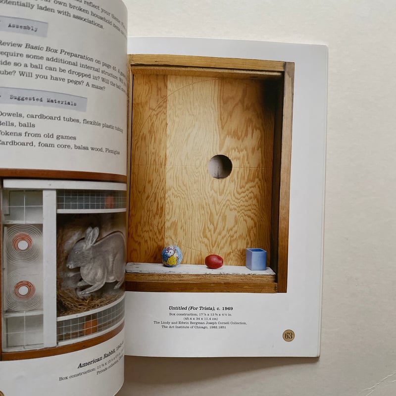 The Joseph Cornell Box | BOOKNERD