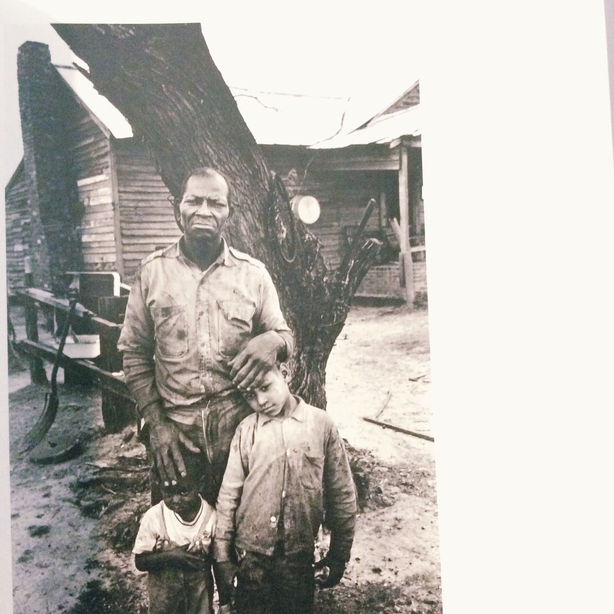 BRUCE DAVIDSON PHOTOGRAPHS | BOOKNERD