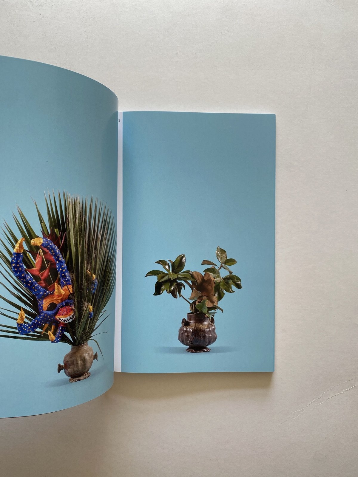 【希少】Adam Silverman  Common Ground COMMON GROUND by Adam Silverman – twelvebooks