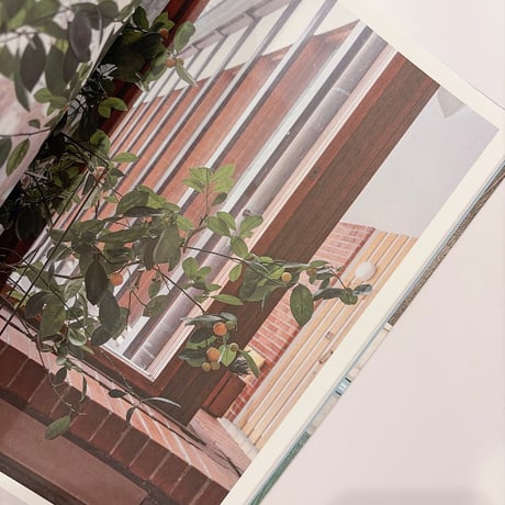 AALTO AND NATURE