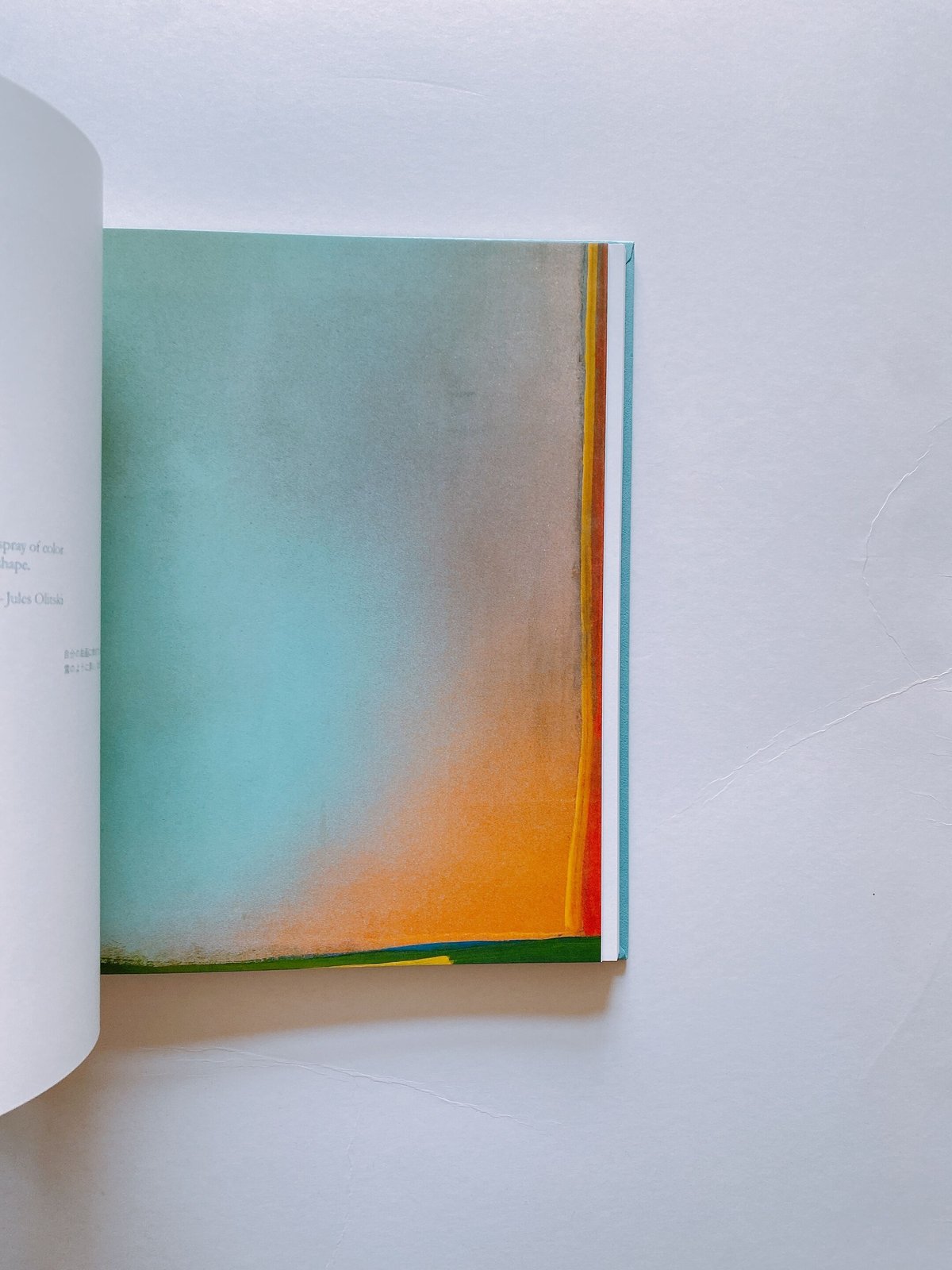 【新品未開封】カラーフィールド　色の海を泳ぐ Amazon.co.jp: カラーフィールド 色の海を泳ぐ : サラ・スタナーズ