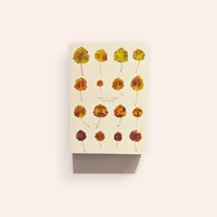 Book of Plants (Second Edition)