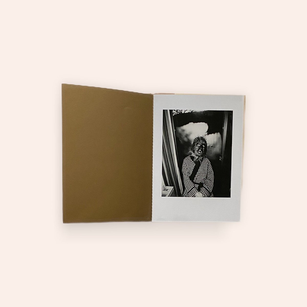 川田喜久治 MASK 限定500部のうち266 KIKUJI KAWADA MASK | BOOKNERD