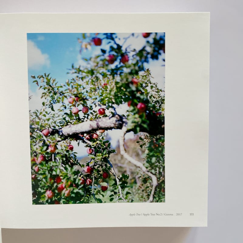 サイン本＆ポストカード付き　世界中の子と友達になれる サイン付き】世界中の子と友達になれる サイン付き】世界中の子