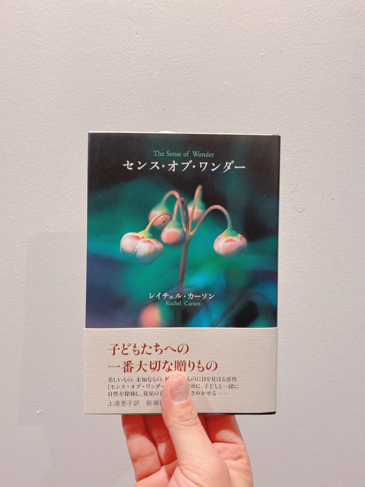 センス・オブ・ワンダー(新刊本） | BOOKNERD