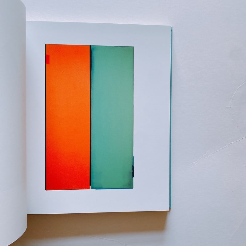 カラーフィールド 色の海を泳ぐ | BOOKNERD