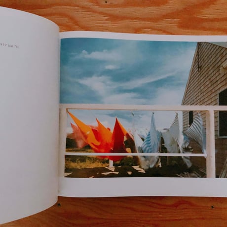 JOEL MEYEROWITZ  CAPELIGHT