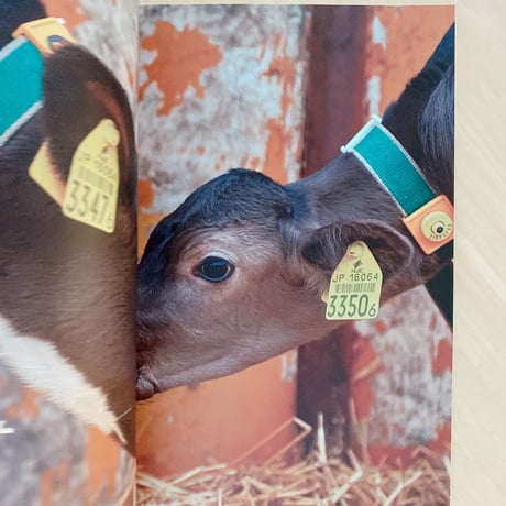 The Dairy Farm 　〜a day〜
