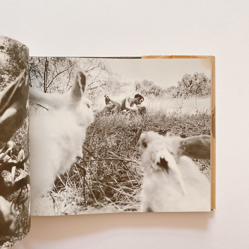 洋書 Fuct Book by Aaron Rose, Erik Brunetti Fuct Book by Aaron Rose, Erik Brunetti - メルカリ