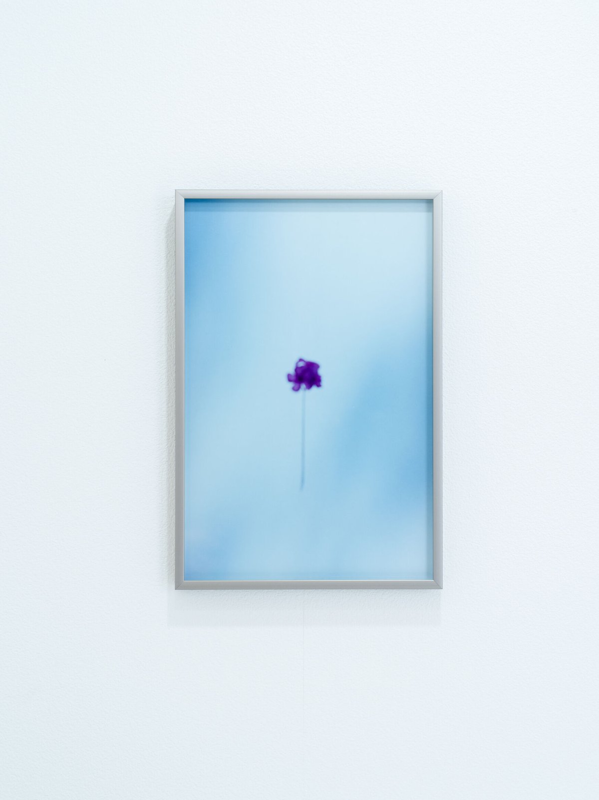 野口恵太 FLOWER FLOWER / 野口恵太 Keita Noguchi - books used and