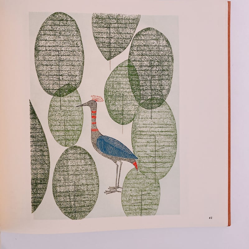 南桂子の世界 空・鳥・水・・・ | BOOKNERD