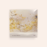 極美品!シュリンク!池間由布子　my land scapes アナログ!オマケ付 池間由布子 My Landscapes | BOOKNERD