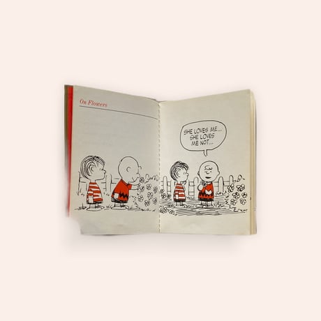 The Meditations of Linus