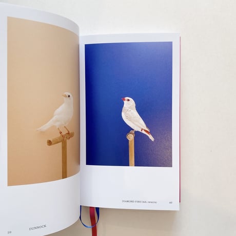 An Incomplete Dictionary of Show Birds