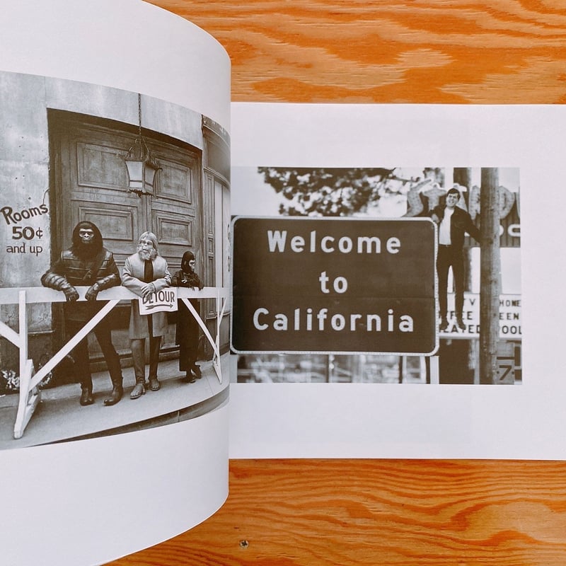 CALIFORNIA TRIP | BOOKNERD