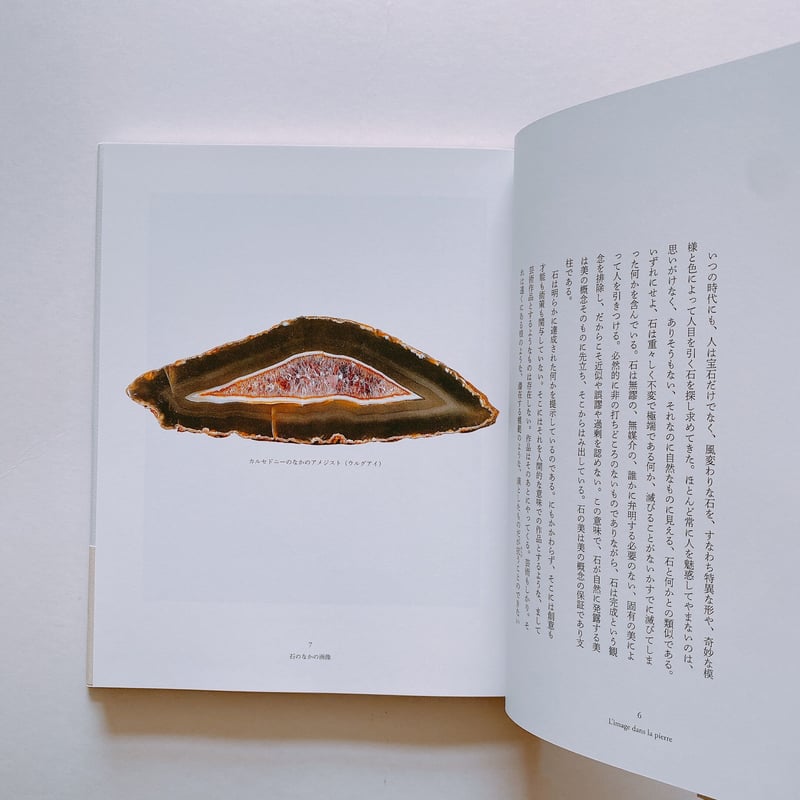 石が書く | BOOKNERD