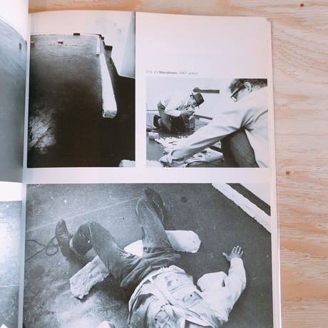 JOSEPH BEUYS    CAROLINE TISDALL