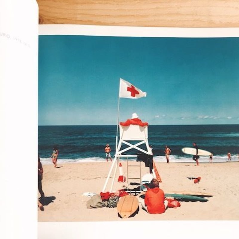 JOEL MEYEROWITZ CAPE LIGHT | BOOKNERD