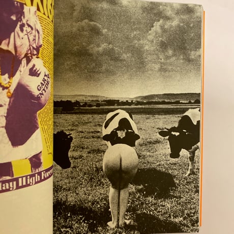 The Radical Media Archive vol.1/7