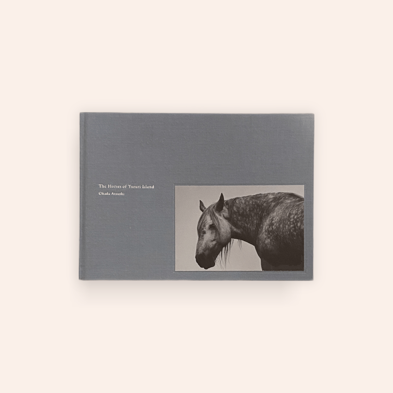 ユルリ島の馬 | BOOKNERD